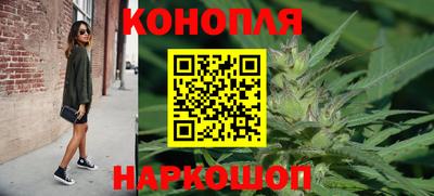 индика Заводоуковск