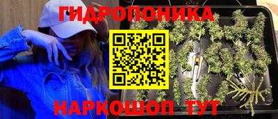 винт Заволжье