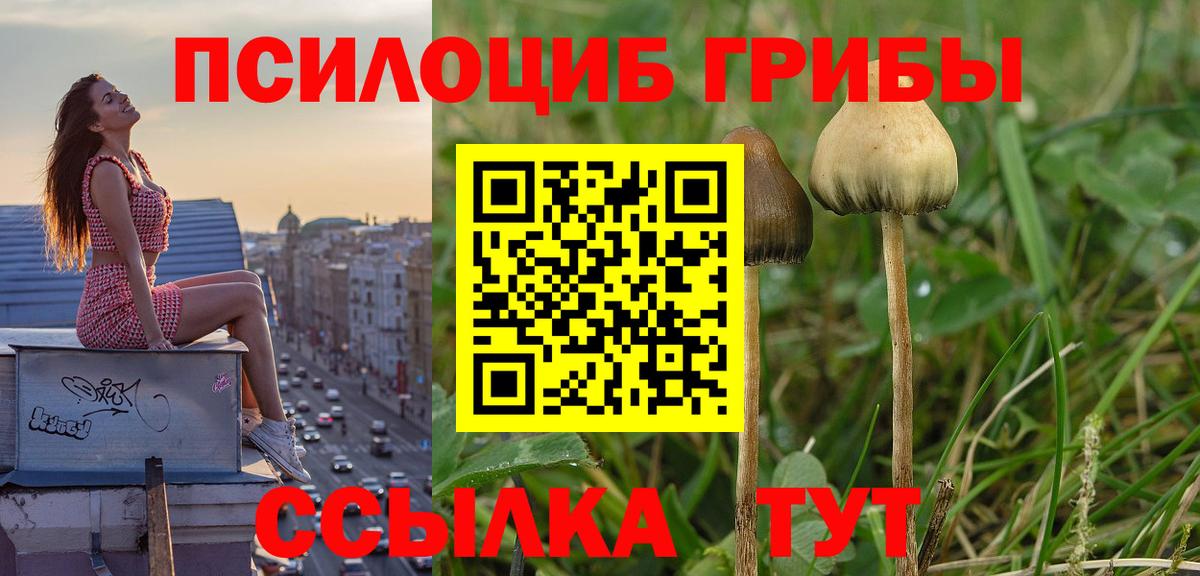 Избербаш  Псилоцибиновые грибы ЛСД  Вход с VPN 
